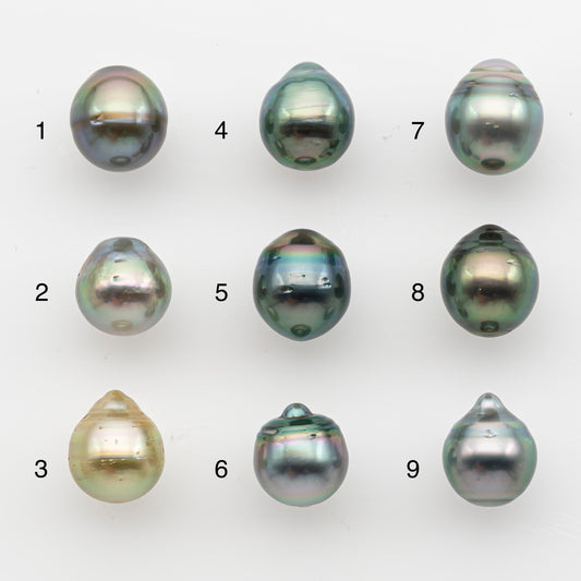 10-11mm Tahitian Pearl, Loose Undrilled with High Luster and for Jewelry Making, SKU # 2830TH
