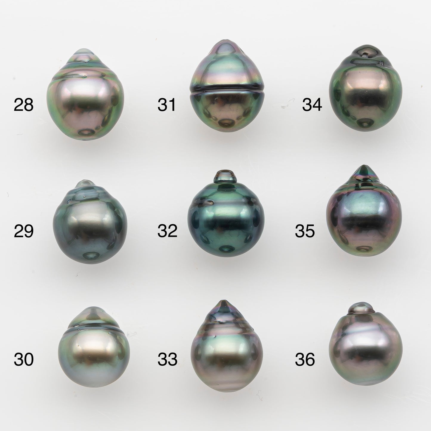 10-11mm Tahitian Pearl, Loose Undrilled with High Luster and for Jewelry Making, SKU # 2830TH