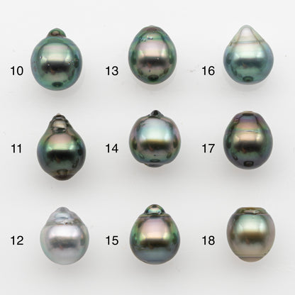 10-11mm Tahitian Pearl, Loose Undrilled with High Luster and for Jewelry Making, SKU # 2831TH