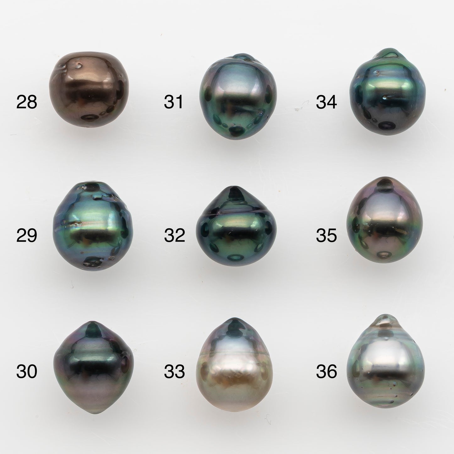 10-11mm Tahitian Pearl, Loose Undrilled with High Luster and for Jewelry Making, SKU # 2831TH