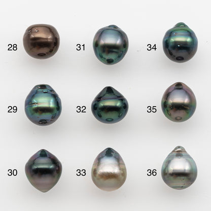 10-11mm Tahitian Pearl, Loose Undrilled with High Luster and for Jewelry Making, SKU # 2831TH