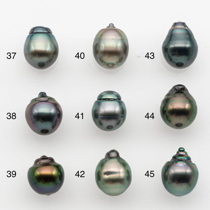 10-11mm Tahitian Pearl, Loose Undrilled with High Luster and for Jewelry Making, SKU # 2831TH