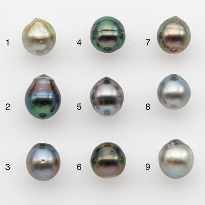 10-11mm Tahitian Pearl, Loose Undrilled with High Luster and for Jewelry Making, SKU # 2832TH