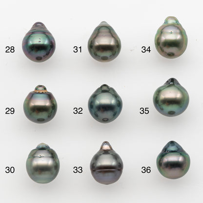 10-11mm Tahitian Pearl, Loose Undrilled with High Luster and for Jewelry Making, SKU # 2832TH