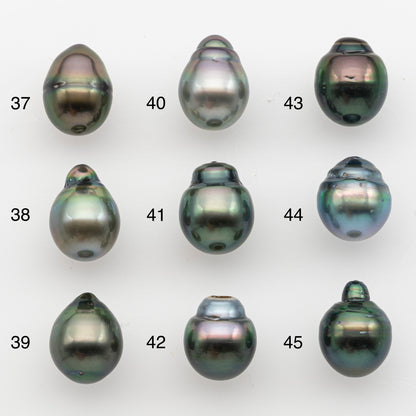 10-11mm Tahitian Pearl, Loose Undrilled with High Luster and for Jewelry Making, SKU # 2832TH