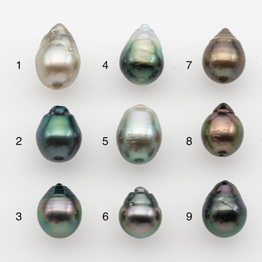 10-11mm Tahitian Pearl, Loose Undrilled with High Luster and for Jewelry Making, SKU # 2833TH