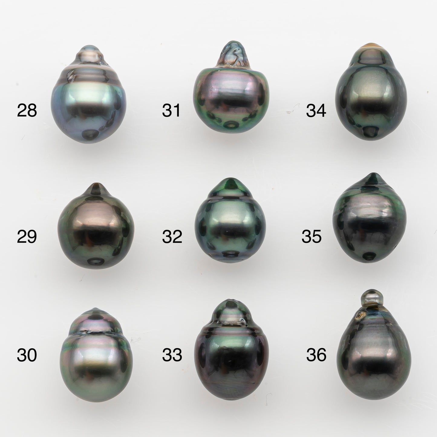 10-11mm Tahitian Pearl, Loose Undrilled with High Luster and for Jewelry Making, SKU # 2833TH