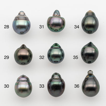 10-11mm Tahitian Pearl, Loose Undrilled with High Luster and for Jewelry Making, SKU # 2833TH
