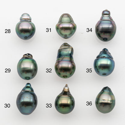 10-11mm Tahitian Pearl, Loose Undrilled with High Luster and for Jewelry Making, SKU # 2834TH
