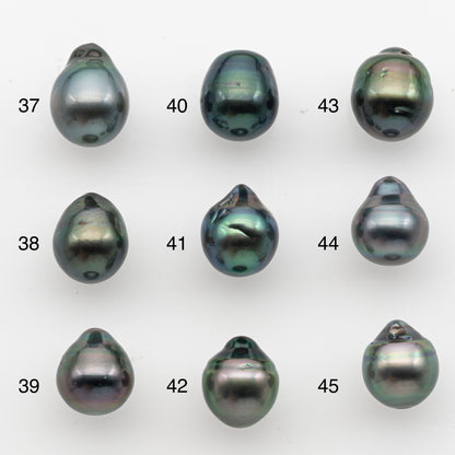 10-11mm Tahitian Pearl, Loose Undrilled with High Luster and for Jewelry Making, SKU # 2834TH