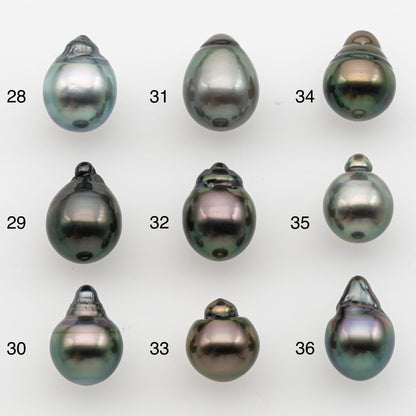 10-11mm Tahitian Pearl, Loose Undrilled with High Luster and for Jewelry Making, SKU # 2835TH