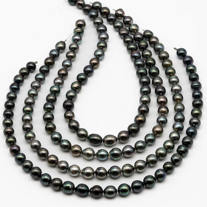 10-11mm Tahitian Pearl in Full Strand, Natural Colors with High Luster, Temporarily Strung Black Pearls for Jewelry Making, SKU # 2860TH