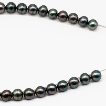 11-12mm Tahitian Pearl in Full Strand (No Hole), Natural Colors , Temporarily Strung Black Pearls for Jewelry Making, SKU # 3337TH
