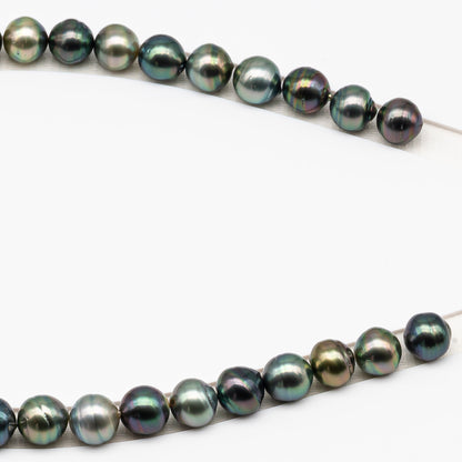 11-12mm Tahitian Pearl in Full Strand (No Hole), Natural Colors , Temporarily Strung Black Pearls for Jewelry Making, SKU # 3344TH