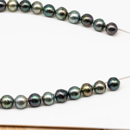 11-12mm Tahitian Pearl in Full Strand (No Hole), Natural Colors , Temporarily Strung Black Pearls for Jewelry Making, SKU # 3344TH