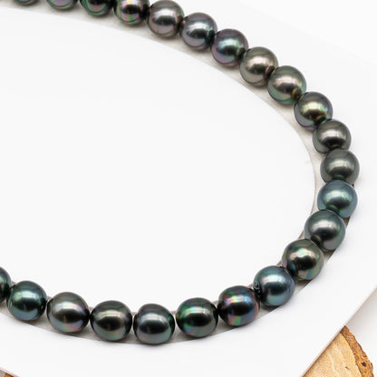 11-12mm Tahitian Pearl in Full Strand (No Hole), Natural Colors , Temporarily Strung Black Pearls for Jewelry Making, SKU # 3345TH