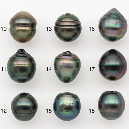 11-12mm Tahitian Pearl Natural Color with Minor Blemishes, Loose Undrilled for Jewelry Making, SKU # 3348H