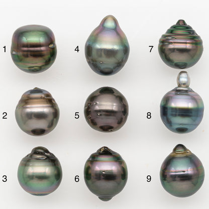 11-12mm Tahitian Pearl Natural Color with Minor Blemishes, Loose Undrilled for Jewelry Making, SKU # 3351H