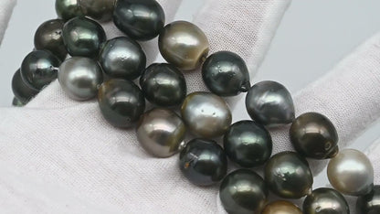 11-12mm Tahitian Pearl Drop in Full Strand with All Natural Color with High Luster for Jewelry Making, SKU# 2282TH