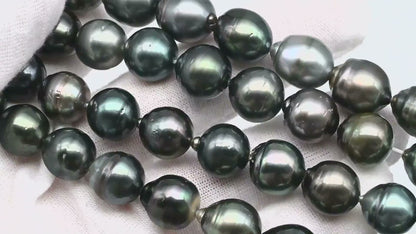 11-12mm Drop Tahitian Pearl in Full Strand with Natural Color and High Luster, For Jewelry Making with Blemishes, SKU # 1871TH