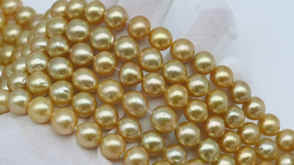 10-11mm Golden South Sea Pearl Near Round, Natural Color Pearls for Jewelry Making, Full Strand, SKU # 2742GS