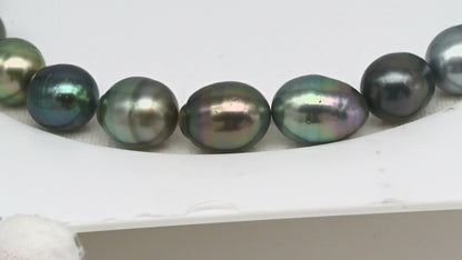 11-12mm Tahitian Pearl in Full Strand (No Hole), Natural Colors , Temporarily Strung Black Pearls for Jewelry Making, SKU # 3339TH