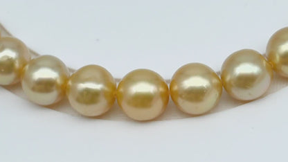 11-12mm Golden South Sea Pearl Near Round with Minor Blemishes, Natural Color Pearls for Jewelry Making, Full Strand, SKU # 3221GS