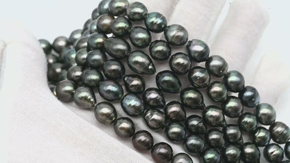 9-10mm Tahitian Pearl in Full Strand, Natural Colors with High Luster, Temporarily Strung Black Pearls for Jewelry Making, SKU # 2867TH