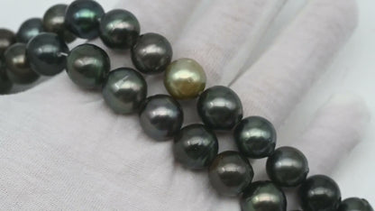 12-13mm Tahitian Pearl in Full Strand, Natural Colors with High Luster, Temporarily Strung Black Pearls for Jewelry Making, SKU # 3038TH