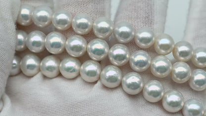 7.5-8.5mm Freshwater Pearl in Full Strand, Natural Colors with High Luster, Pre-Strung for Jewelry Making, SKU # 3123EP