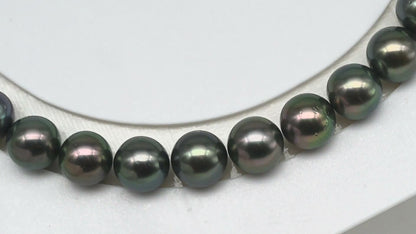 9-10mm Tahitian Pearl in Full Strand (No Hole) with Natural Color and High Luster, Temporarily Strung Pearl for Jewelry Making, SKU # 3388TH
