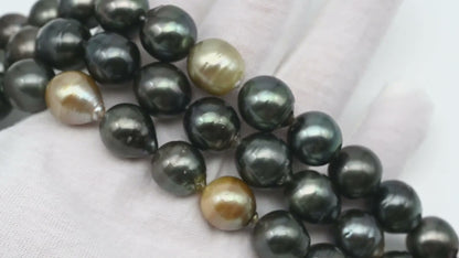 12-13mm Tahitian Pearl in Full Strand, Natural Colors with High Luster, Temporarily Strung Black Pearls for Jewelry Making, SKU # 3037TH