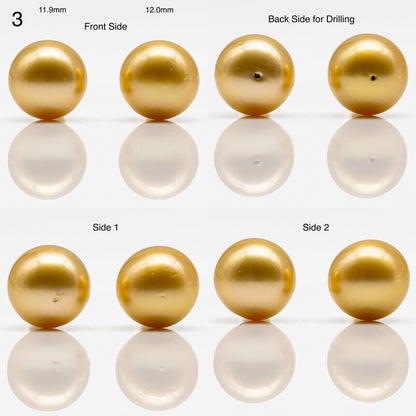 10-14mm Gold South Sea Pearl in Pair Undrilled, All Natural Color with High Luster for Jewelry Making, SKU # 1908GS