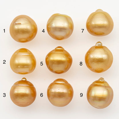 13-14mm South Sea Pearl in Natural Gold Color, Loose Drop Shape, Undrilled for Jewelry Making, SKU # 3096GS