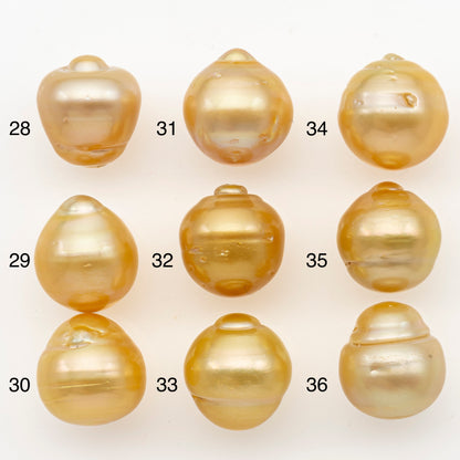 13-14mm South Sea Pearl in Natural Gold Color, Loose Drop Shape, Undrilled for Jewelry Making, SKU # 3097GS