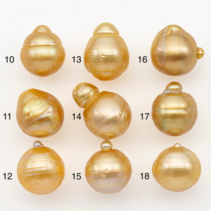 13-14mm South Sea Pearl in Natural Gold Color, Loose Drop Shape, Undrilled for Jewelry Making, SKU # 3098GS