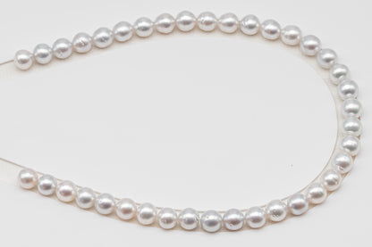10-11mm White South Sea Pearl Near Round, Natural Color Pearls for Jewelry Making, Full Strand (No Hole), SKU # 3106WS