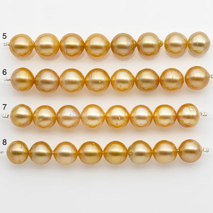 12-13mm Golden South Sea Pearls, Natural Gold or Champagne Color, For Jewelry Making Necklace and Bracelet, Large Size, SKU# 2341GS