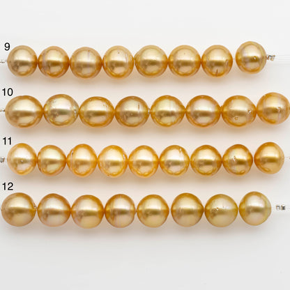 12-13mm Golden South Sea Pearls, Natural Gold or Champagne Color, For Jewelry Making Necklace and Bracelet, Large Size, SKU# 2341GS