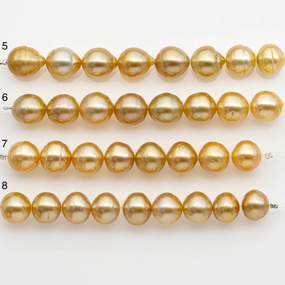 12-13mm Golden South Sea Pearls, Natural Gold or Champagne Color, For Jewelry Making Necklace and Bracelet, Large Size, SKU# 2342GS