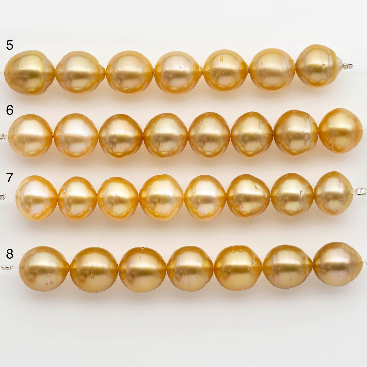 Perlen Gold 13-14mm Golden South Sea Pearls, Natural Gold or Champagne Color, For ...