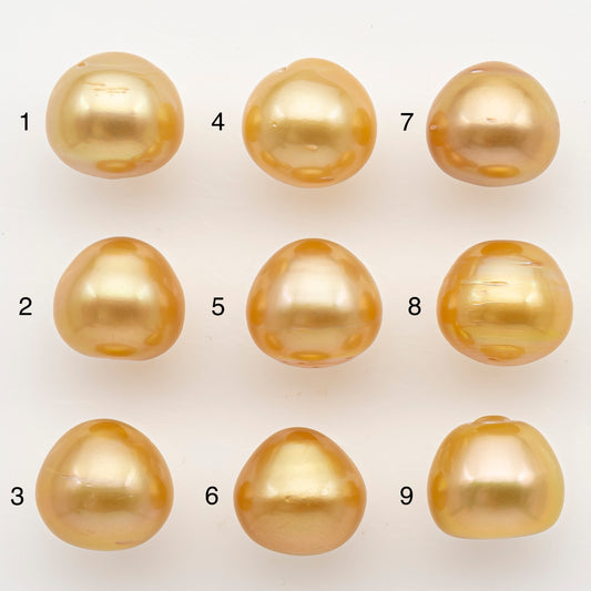 12-13mm South Sea Pearl in Natural Color with High Luster, Loose Pearl, Undrilled for Jewelry Making, SKU # 3200GS