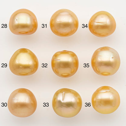 12-13mm South Sea Pearl in Natural Color with High Luster, Loose Pearl, Undrilled for Jewelry Making, SKU # 3200GS