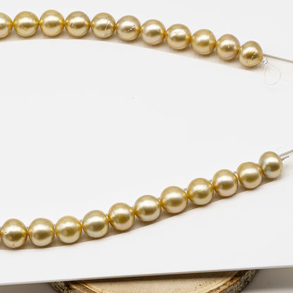 11-12mm Golden South Sea Pearl Near Round with Minor Blemishes, Natural Color Pearls for Jewelry Making, Full Strand, SKU # 3221GS