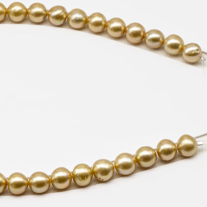 11-12mm Golden South Sea Pearl Near Round with Minor Blemishes, Natural Color Pearls for Jewelry Making, Full Strand, SKU # 3222GS