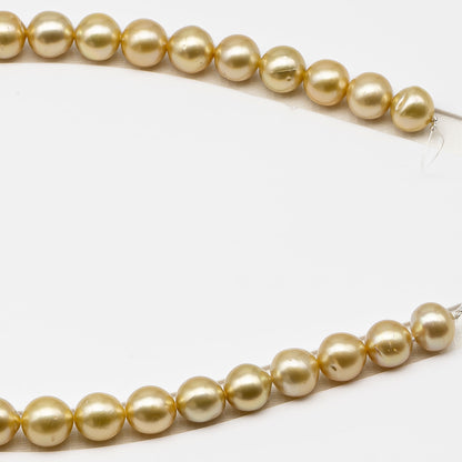 11-12mm Golden South Sea Pearl Near Round with Minor Blemishes, Natural Color Pearls for Jewelry Making, Full Strand, SKU # 3223GS