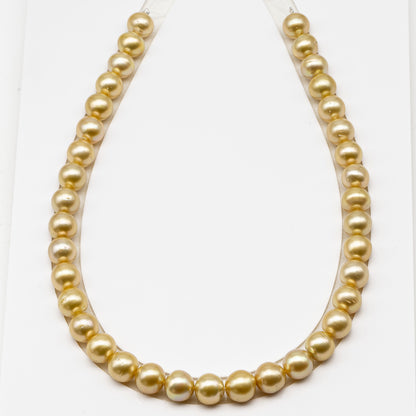 11-12mm Golden South Sea Pearl Near Round with Minor Blemishes, Natural Color Pearls for Jewelry Making, Full Strand, SKU # 3224GS