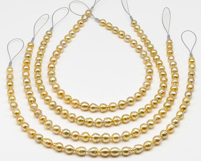8-10mm Golden South Sea Pearl with High Luster and Natural Color Pearls, for Jewelry Making, Full Strand, SKU # 3242GS