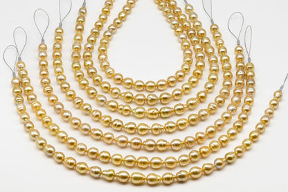 10-12mm Golden South Sea Pearl with High Luster and Natural Color Pearls, for Jewelry Making, Full Strand, SKU # 3243GS