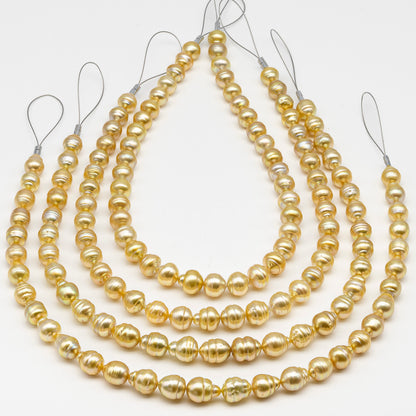 10-12mm Golden South Sea Pearl with High Luster and Natural Color Pearls, for Jewelry Making, Full Strand, SKU # 3245GS